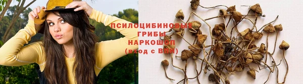 mdpv Алексин