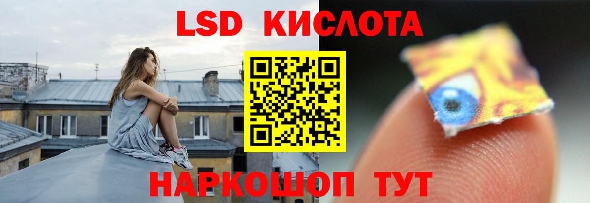 Бошки Шишки Муравленко
