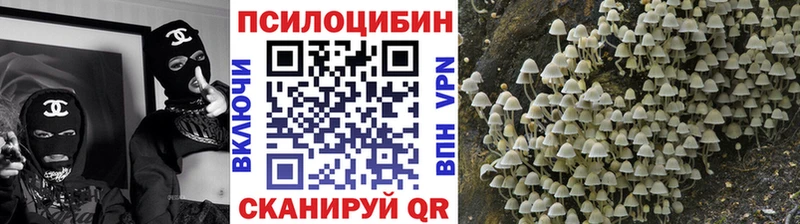 Галлюциногенные грибы MAGIC MUSHROOMS  купить  сайты  блэк спрут как зайти  Муравленко 