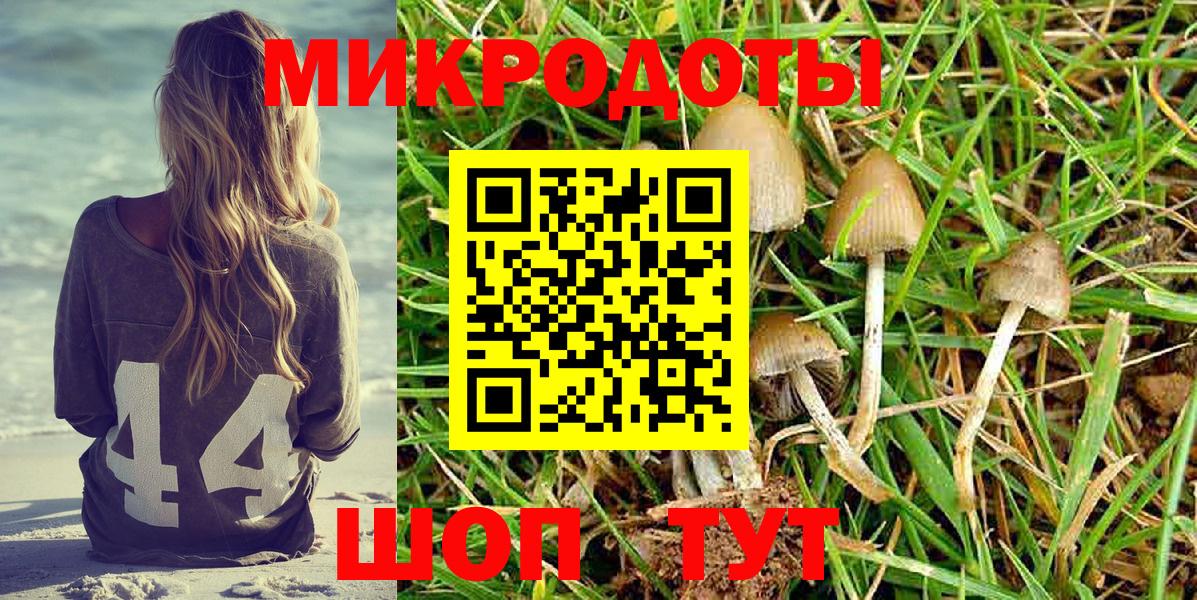 Псилоцибиновые грибы Cubensis  Вход с VPN  Муравленко 