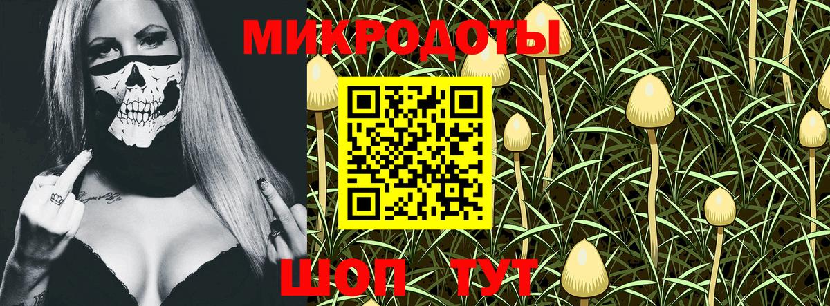 Псилоцибиновые грибы мухоморы Муравленко